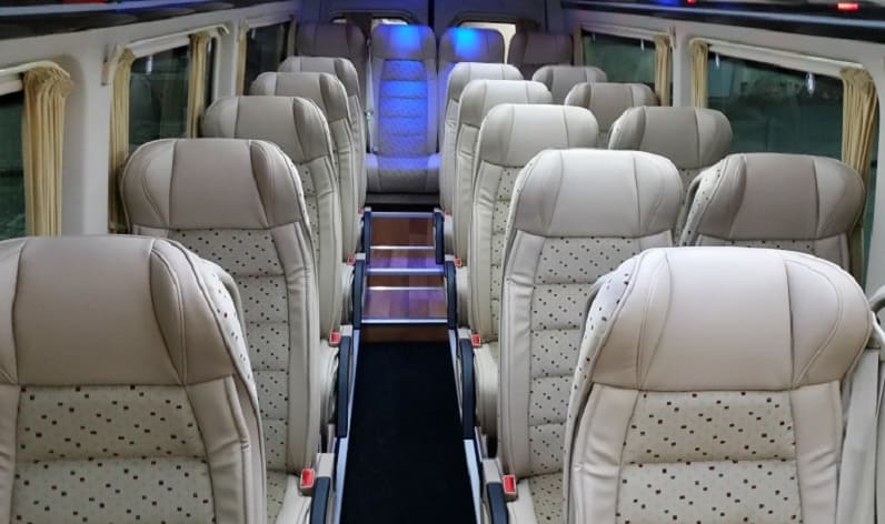 Germany: Coach company in Baden-Württemberg in Baden-Württemberg and Ditzingen